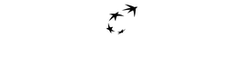 BNL BNP Paribas Wealth Advisory Partner